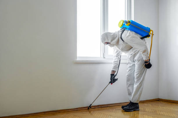 Indoor Pest Control in Sutherlin, OR